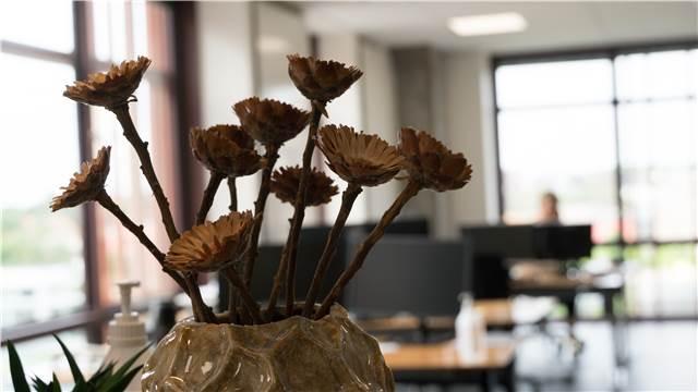 Tørret blomst Midtbyens Gymnasium