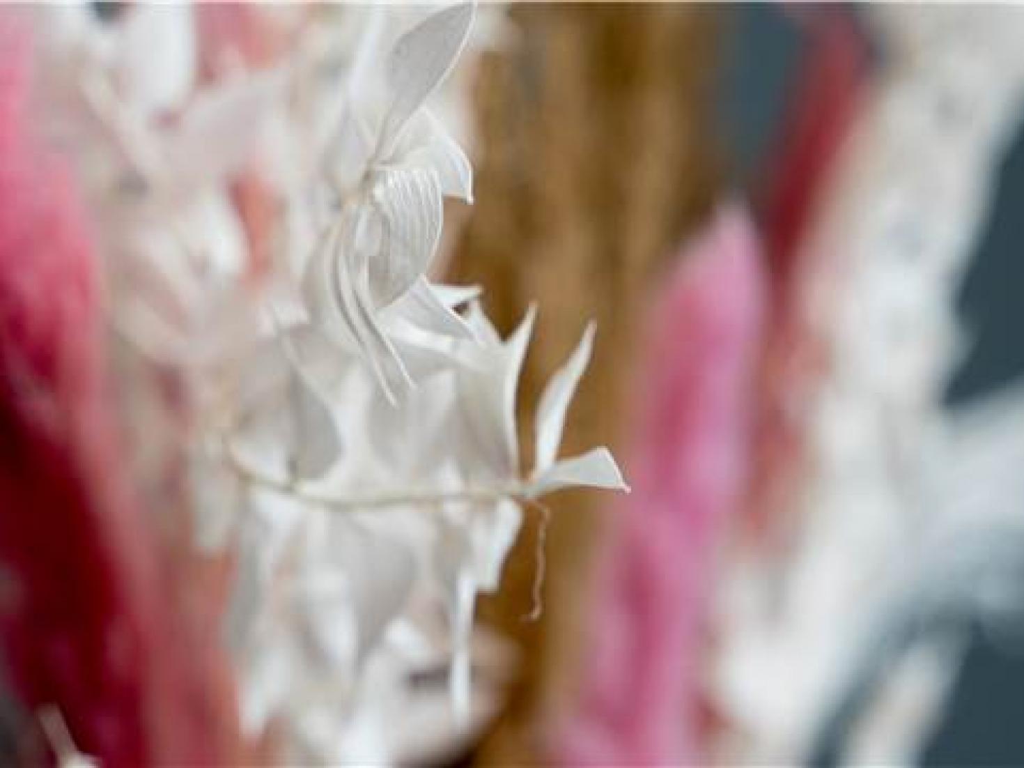 Dekoration gymnasiet Viborg 