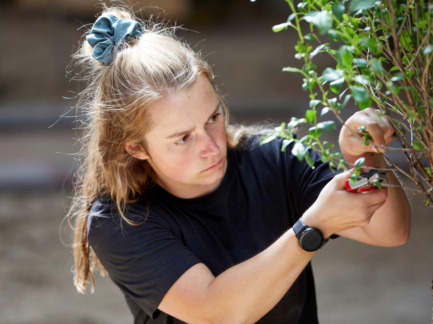 ju_aarhus_anlaegsgartne_058